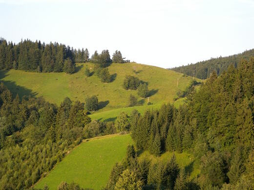 Krajina v okolí Kohútky