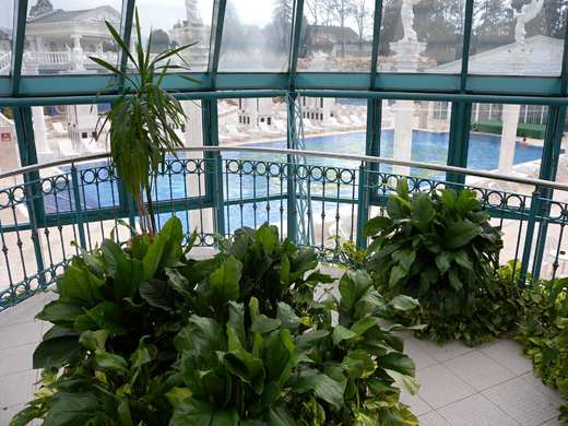 spa_aphrodite_rajecke_teplice_DSCN7118.jpg