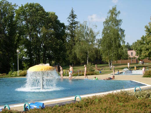 Vodní hříbek