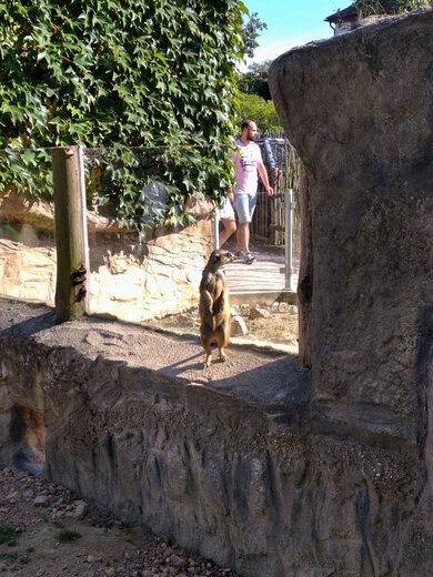 V Jihočeské zoologické zahradě Hluboká nad Vltavou
